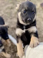 processed/9bb2a48b-cd85-4db4-b1e6-e04fa11b43db/listing/45c1c805-cd72-4d85-b98c-18ccd450b18c/dc09ace8-e605-434a-865e-03f32864ea65