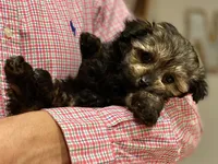 processed/9bb2a48b-cd85-4db4-b1e6-e04fa11b43db/listing/aa748ab4-1c05-46c7-9bb9-3f3bdebeb1d0/4b8d7f12-5994-4f3d-84f1-23d00d86a9a9