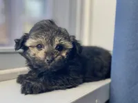 processed/9bb2a48b-cd85-4db4-b1e6-e04fa11b43db/listing/aa748ab4-1c05-46c7-9bb9-3f3bdebeb1d0/4e83a079-3e83-4e90-8a33-8e94942d4205