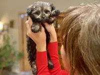 processed/9bb2a48b-cd85-4db4-b1e6-e04fa11b43db/listing/aa748ab4-1c05-46c7-9bb9-3f3bdebeb1d0/98d795d3-3132-44b9-840a-de49fc460774