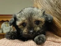 processed/9bb2a48b-cd85-4db4-b1e6-e04fa11b43db/listing/aa748ab4-1c05-46c7-9bb9-3f3bdebeb1d0/bb7e1ddd-d012-4f73-9dec-b19cad66b00e