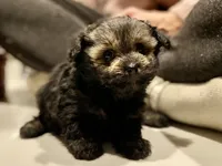 processed/9bb2a48b-cd85-4db4-b1e6-e04fa11b43db/listing/aa748ab4-1c05-46c7-9bb9-3f3bdebeb1d0/bbe5e765-0d07-4da9-ac74-5d83d41f796b