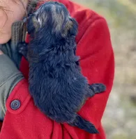 processed/9bb2a48b-cd85-4db4-b1e6-e04fa11b43db/listing/aa748ab4-1c05-46c7-9bb9-3f3bdebeb1d0/be2d3d3e-9bfb-44b2-9225-ae7258092de1