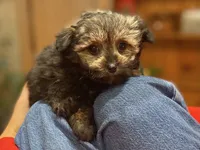 processed/9bb2a48b-cd85-4db4-b1e6-e04fa11b43db/listing/aa748ab4-1c05-46c7-9bb9-3f3bdebeb1d0/be6de849-9d40-4fc6-b8fd-0e5259d93ebc