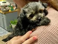 processed/9bb2a48b-cd85-4db4-b1e6-e04fa11b43db/listing/aa748ab4-1c05-46c7-9bb9-3f3bdebeb1d0/d9b73c73-2d52-4ef4-81ac-0cb602c3365c