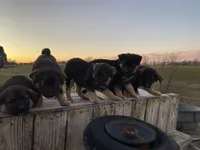 processed/9bb2a48b-cd85-4db4-b1e6-e04fa11b43db/listing/b389b022-fcc4-43db-ac0e-2d96f40550de/1142ece9-dbe9-4f35-9b92-6da00abb809f