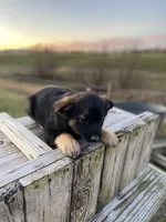 processed/9bb2a48b-cd85-4db4-b1e6-e04fa11b43db/listing/b389b022-fcc4-43db-ac0e-2d96f40550de/2b76a111-53b7-4cd4-9a0f-93d2e5d004e6