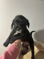 processed/9bb43f97-9923-45ad-b796-ae9f60458f1e/listing/b123614c-4ec8-4aef-b69f-6f7ecf559696/72d1dcbf-7159-41c0-96f1-d9c37be44ba0