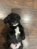 processed/9bb43f97-9923-45ad-b796-ae9f60458f1e/listing/b123614c-4ec8-4aef-b69f-6f7ecf559696/8a139056-b992-45f9-acf0-b3a0f1ef3d00