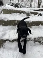 processed/9bb43f97-9923-45ad-b796-ae9f60458f1e/listing/b123614c-4ec8-4aef-b69f-6f7ecf559696/8fe62d6c-c4e5-4cc7-bcac-96c1f24a87cf