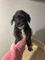 processed/9bb43f97-9923-45ad-b796-ae9f60458f1e/listing/b123614c-4ec8-4aef-b69f-6f7ecf559696/d2182c4b-a0aa-4e63-aa9a-aa729b4c4ed2