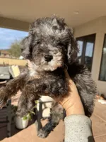 processed/9bc78c2f-b469-4164-bfc3-96ba08439b96/listing/bcc7c2cb-c64f-4535-93bc-29d4d5dd6334/1b30f757-0b33-4489-99ce-be477f075244