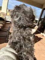 processed/9bc78c2f-b469-4164-bfc3-96ba08439b96/listing/bcc7c2cb-c64f-4535-93bc-29d4d5dd6334/e8a50555-7265-4e6e-bf34-58d50d2cb8dc