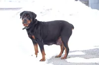 processed/9bc9b099-0c4a-44f1-873b-64ccd5a6ad00/listing/14d2cb27-90b8-4f03-a464-c17e37fad8c4/5e236954-fa7e-427a-a679-ee44b1d336f5