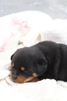 processed/9bc9b099-0c4a-44f1-873b-64ccd5a6ad00/listing/14d2cb27-90b8-4f03-a464-c17e37fad8c4/bdd1f951-03d5-4fb4-b9e8-ecd79eea19a3