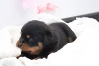 processed/9bc9b099-0c4a-44f1-873b-64ccd5a6ad00/listing/14d2cb27-90b8-4f03-a464-c17e37fad8c4/da0760d2-a5a7-447d-86e1-f796ed0c4fbb