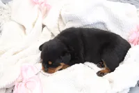 processed/9bc9b099-0c4a-44f1-873b-64ccd5a6ad00/listing/1fa57405-496e-4697-9bbf-1088c70c14c5/0fac34ab-ce86-4dc9-930a-df81ed635523