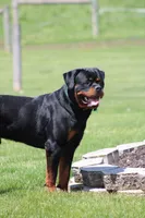 processed/9bc9b099-0c4a-44f1-873b-64ccd5a6ad00/listing/1fa57405-496e-4697-9bbf-1088c70c14c5/e478eb5d-e49e-4e5a-a10e-98181a2d0cf9