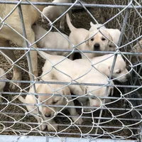 processed/9bd37d24-75a9-41cb-ba1e-cf6a3c31371c/facility/0c3d0e00-e6b2-487e-887f-8fa419b4d209