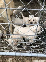 processed/9bd37d24-75a9-41cb-ba1e-cf6a3c31371c/facility/0c3d0e00-e6b2-487e-887f-8fa419b4d209