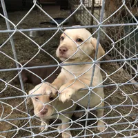 processed/9bd37d24-75a9-41cb-ba1e-cf6a3c31371c/facility/30da35c7-fcd9-4cd0-aa99-b0f26ae9e197