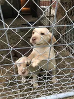 processed/9bd37d24-75a9-41cb-ba1e-cf6a3c31371c/facility/30da35c7-fcd9-4cd0-aa99-b0f26ae9e197