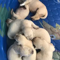 processed/9bd37d24-75a9-41cb-ba1e-cf6a3c31371c/facility/4ec6504f-eb77-446e-bf1a-f0ac9424de50