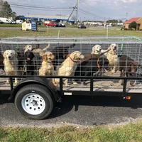 processed/9bd37d24-75a9-41cb-ba1e-cf6a3c31371c/facility/5a864716-158f-4221-8ef2-479a4df9a6c5