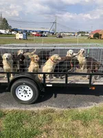 processed/9bd37d24-75a9-41cb-ba1e-cf6a3c31371c/facility/5a864716-158f-4221-8ef2-479a4df9a6c5