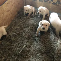 processed/9bd37d24-75a9-41cb-ba1e-cf6a3c31371c/facility/5b7311e9-e7ce-4e2c-816d-983b48969a34