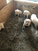 processed/9bd37d24-75a9-41cb-ba1e-cf6a3c31371c/facility/5b7311e9-e7ce-4e2c-816d-983b48969a34