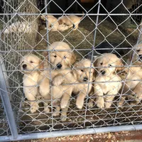 processed/9bd37d24-75a9-41cb-ba1e-cf6a3c31371c/facility/640f6779-6259-4213-971f-9ede78c8da33