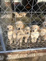 processed/9bd37d24-75a9-41cb-ba1e-cf6a3c31371c/facility/640f6779-6259-4213-971f-9ede78c8da33