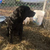 processed/9bd37d24-75a9-41cb-ba1e-cf6a3c31371c/facility/8c7f62fb-c0f6-4e20-b95f-78bd3ada4d64