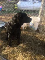 processed/9bd37d24-75a9-41cb-ba1e-cf6a3c31371c/facility/8c7f62fb-c0f6-4e20-b95f-78bd3ada4d64