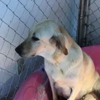 processed/9bd37d24-75a9-41cb-ba1e-cf6a3c31371c/facility/d8ac80b6-6fec-4e97-8ad5-1b9ec1894f3e