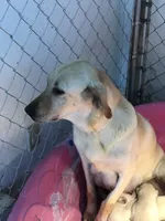 processed/9bd37d24-75a9-41cb-ba1e-cf6a3c31371c/facility/d8ac80b6-6fec-4e97-8ad5-1b9ec1894f3e