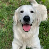 processed/9bd37d24-75a9-41cb-ba1e-cf6a3c31371c/facility/e5f3d37c-8d67-4c69-8eab-8de9afe193ba