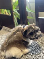 processed/9bddc653-b93f-430b-8a5c-a05865ace52e/listing/876f5b00-a747-4840-af41-d825cc7e842e/07bd6832-a0f0-458e-a4bb-fc8641a62422