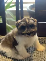 processed/9bddc653-b93f-430b-8a5c-a05865ace52e/listing/876f5b00-a747-4840-af41-d825cc7e842e/2330c9f8-5932-425f-b71c-23302204cb3c