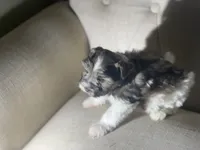 processed/9bddc653-b93f-430b-8a5c-a05865ace52e/listing/876f5b00-a747-4840-af41-d825cc7e842e/3fba48cc-4365-42b8-9e6f-fdef84080cd1