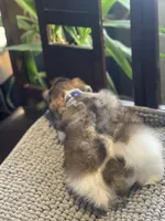 processed/9bddc653-b93f-430b-8a5c-a05865ace52e/listing/876f5b00-a747-4840-af41-d825cc7e842e/7acc0553-a663-4cd3-b5a0-3c5b036d5822