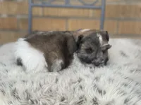 processed/9bddc653-b93f-430b-8a5c-a05865ace52e/listing/876f5b00-a747-4840-af41-d825cc7e842e/95e461c0-8fd0-4b59-99b8-560860119e23