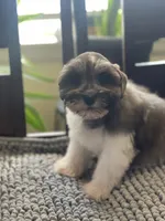 processed/9bddc653-b93f-430b-8a5c-a05865ace52e/listing/876f5b00-a747-4840-af41-d825cc7e842e/b0a23e63-0ad1-4f92-ad7b-c5af9829d2c1