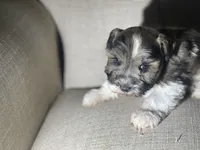 processed/9bddc653-b93f-430b-8a5c-a05865ace52e/listing/876f5b00-a747-4840-af41-d825cc7e842e/b8f3d9f6-71e2-40f6-a918-51639a7d1846