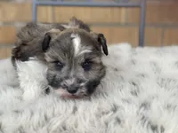 processed/9bddc653-b93f-430b-8a5c-a05865ace52e/listing/876f5b00-a747-4840-af41-d825cc7e842e/ce23184c-f521-4000-8fb6-9d2b9bde85dc