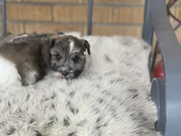 processed/9bddc653-b93f-430b-8a5c-a05865ace52e/listing/876f5b00-a747-4840-af41-d825cc7e842e/ec784d71-4a49-4fc6-ac97-c07b851dda23