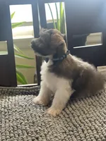 processed/9bddc653-b93f-430b-8a5c-a05865ace52e/listing/876f5b00-a747-4840-af41-d825cc7e842e/ed9fd7d0-7132-4b49-a83a-ddfda8123a83