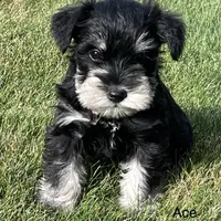 processed/9be8e667-77b6-4c26-be4b-fbb99ea942e0/facility/79752ed4-8f99-405f-b87e-b95fd05482ae