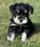 processed/9be8e667-77b6-4c26-be4b-fbb99ea942e0/facility/79752ed4-8f99-405f-b87e-b95fd05482ae